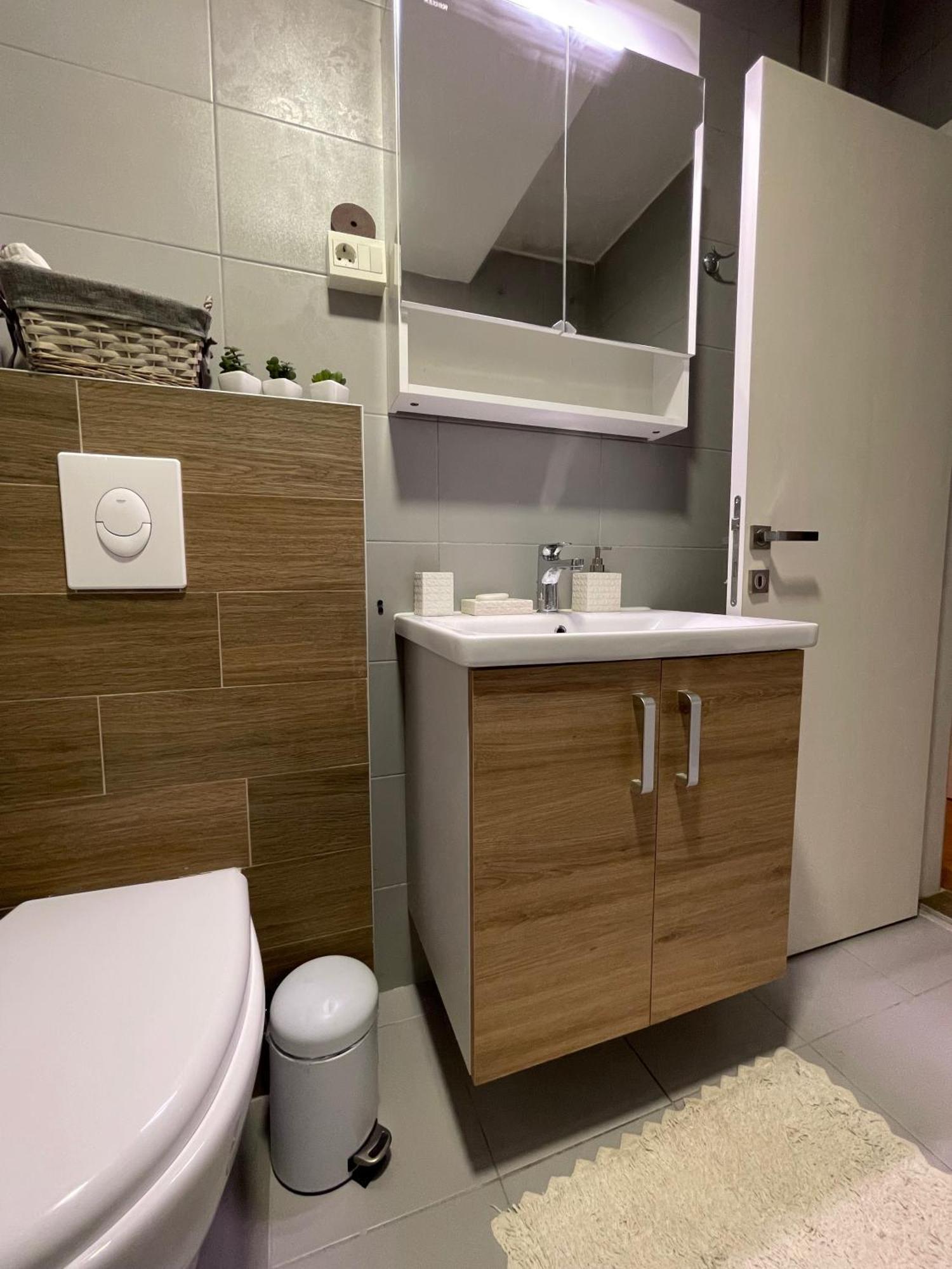 Ruby Luxury Central Apartment スコピエ エクステリア 写真