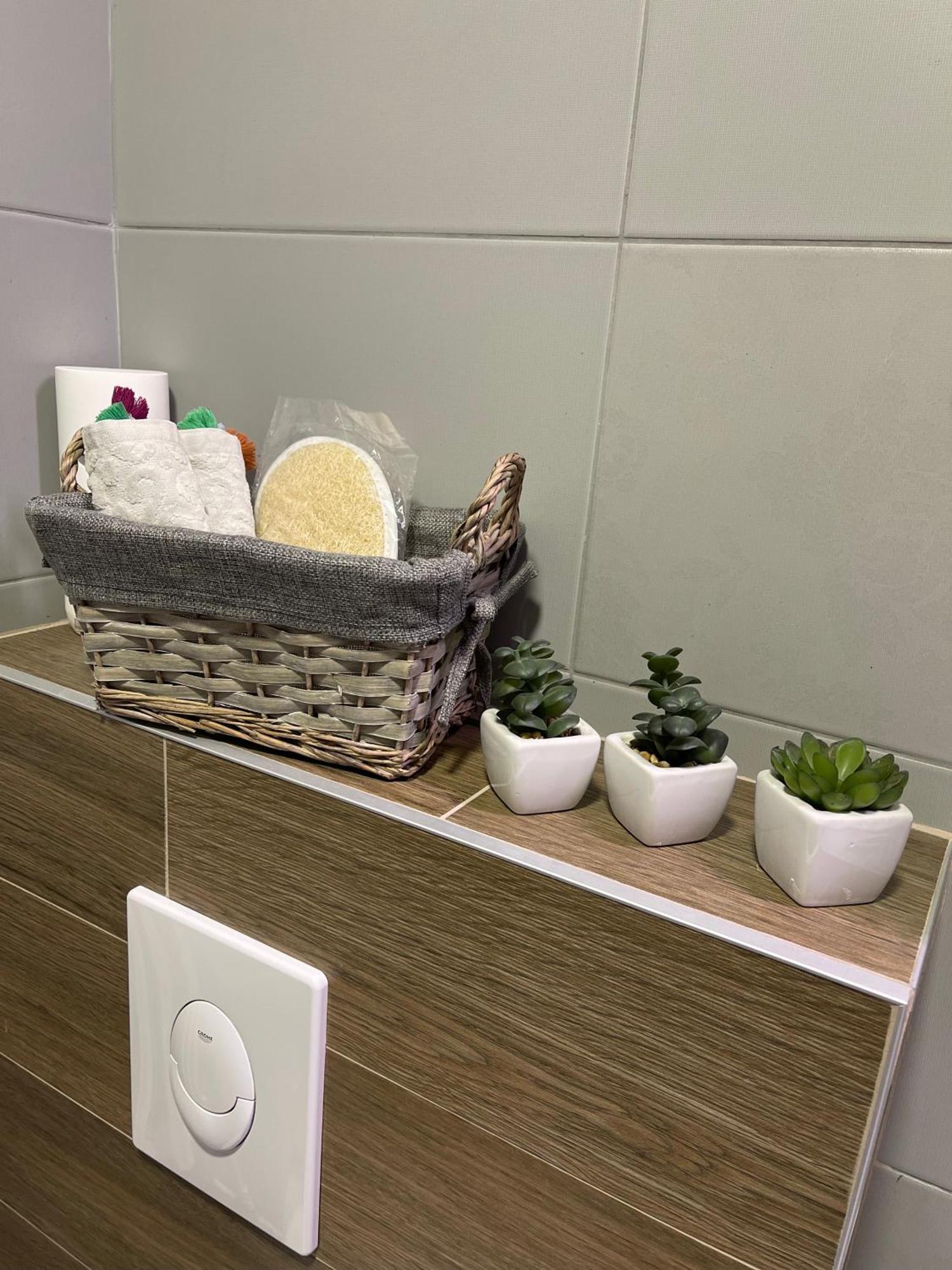 Ruby Luxury Central Apartment スコピエ エクステリア 写真