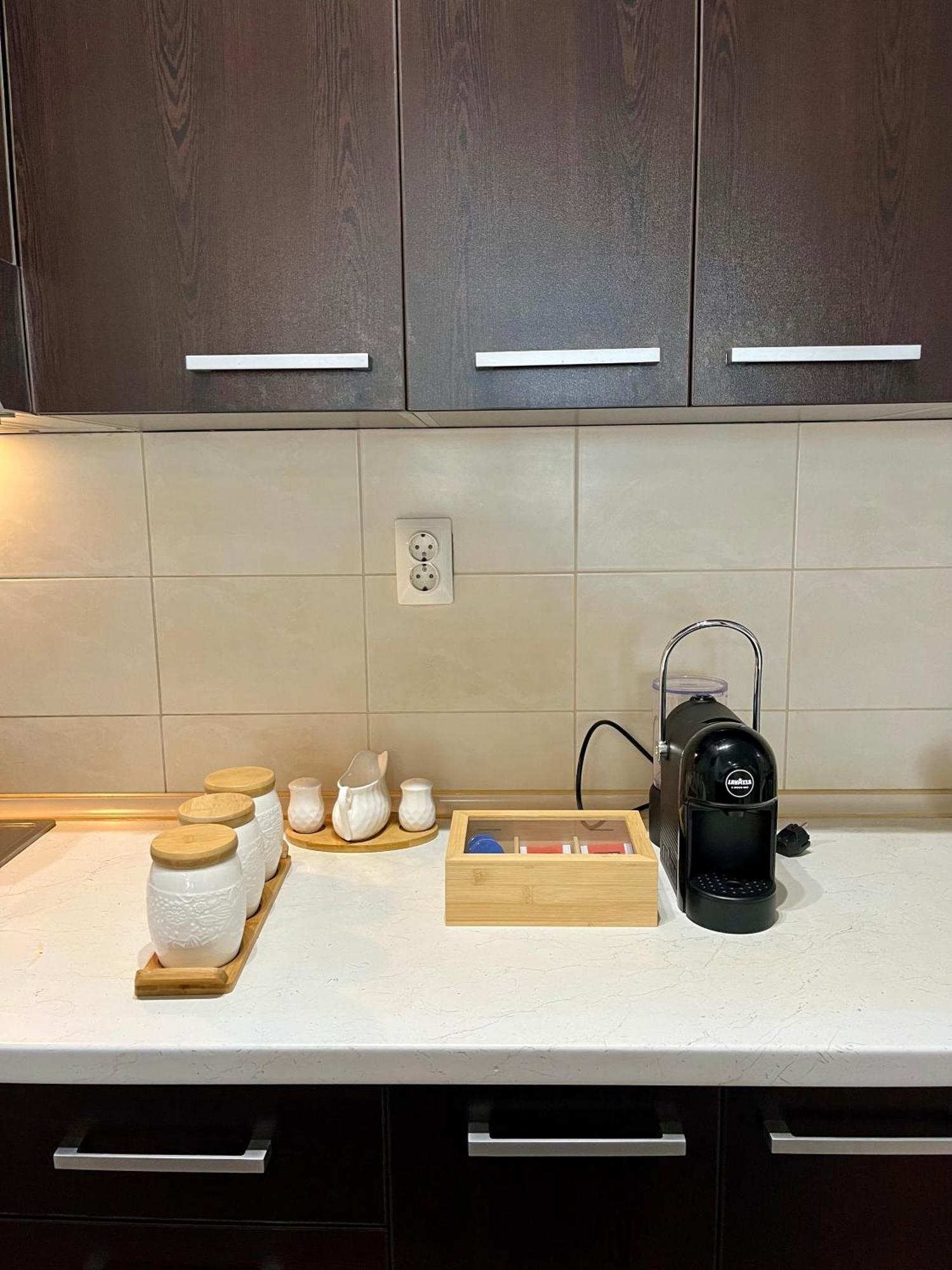 Ruby Luxury Central Apartment スコピエ エクステリア 写真