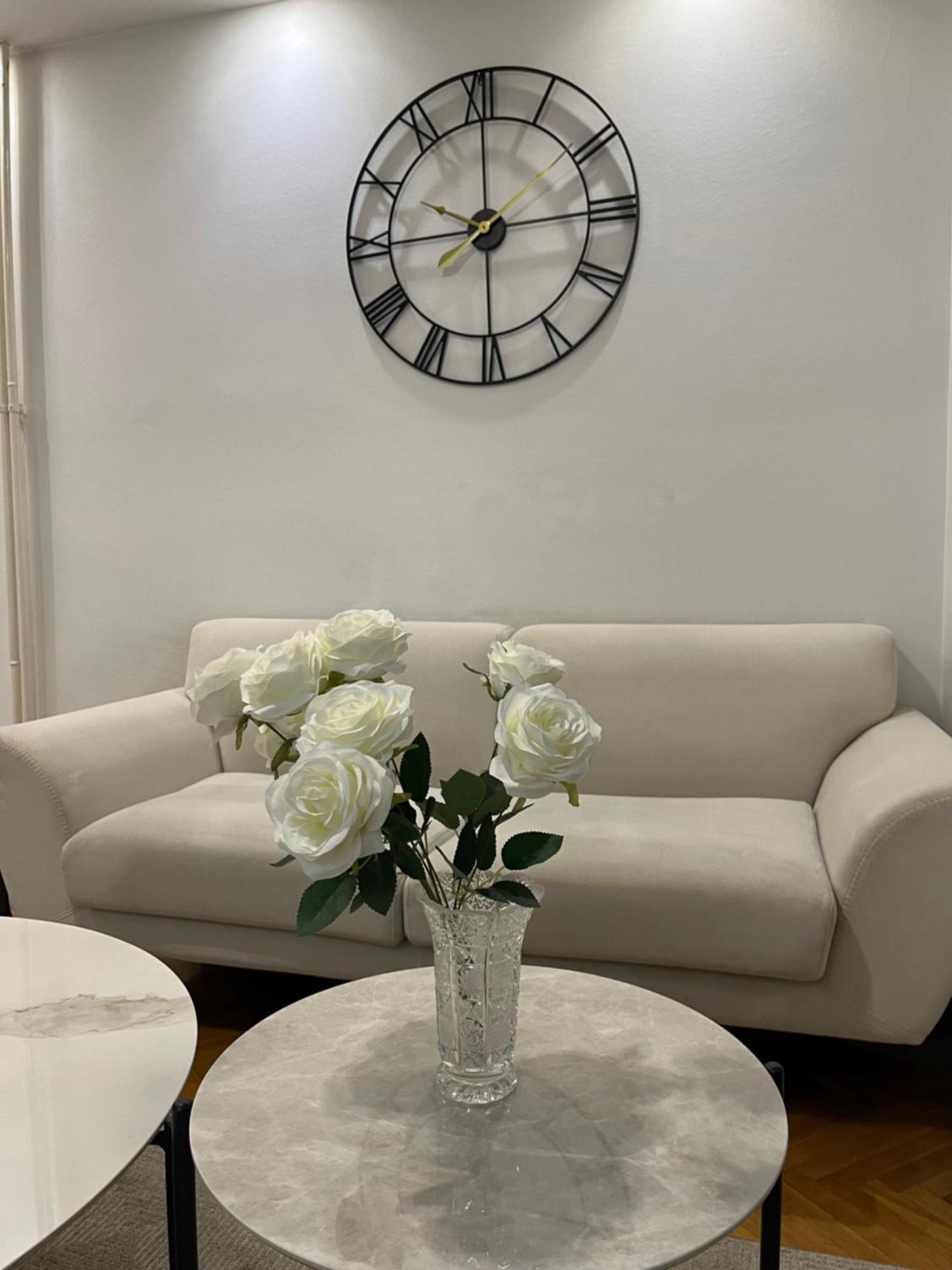 Ruby Luxury Central Apartment スコピエ エクステリア 写真